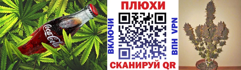мориарти формула  Коммунар  Canna-Cookies конопля  ОМГ ОМГ ССЫЛКА 