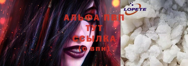 прущие грибы Богданович