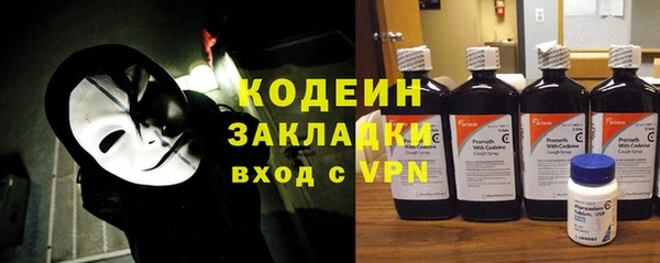 прущие грибы Богданович