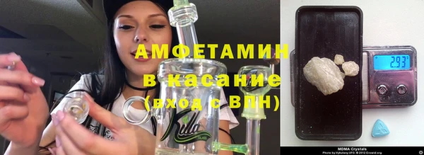 прущие грибы Богданович