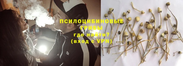 прущие грибы Богданович