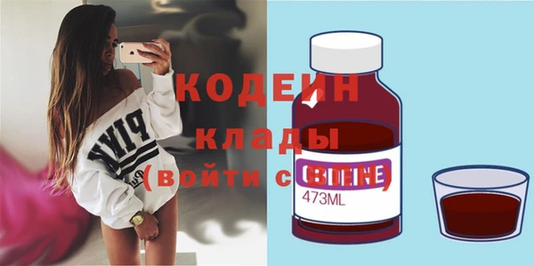 прущие грибы Богданович