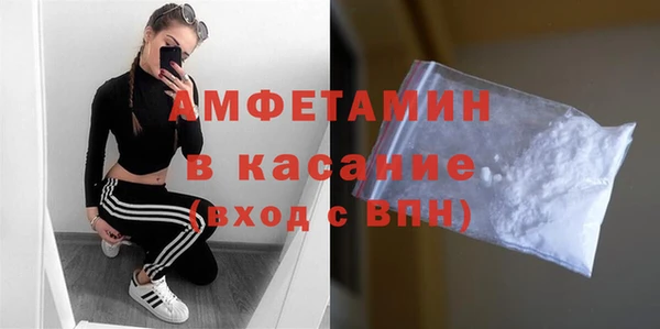 прущие грибы Богданович