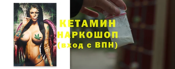 прущие грибы Богданович