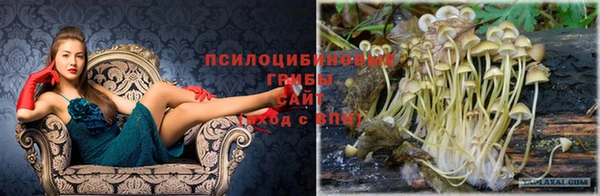 первитин Богородск