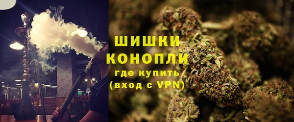 прущие грибы Богданович