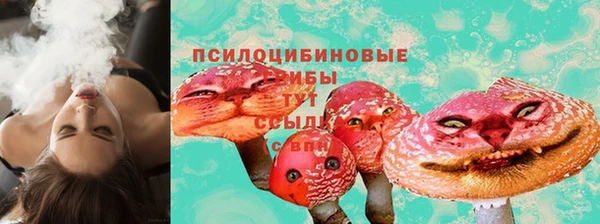 прущие грибы Богданович