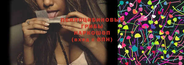 прущие грибы Богданович