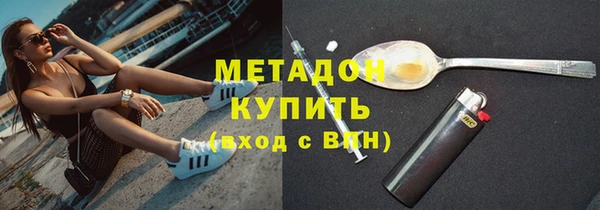 прущие грибы Богданович