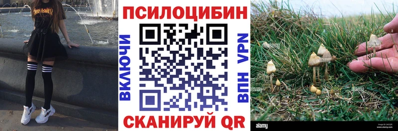 Псилоцибиновые грибы Magic Shrooms  Коммунар 